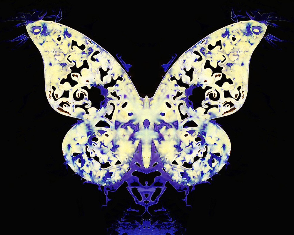 Kauffmann_The_8th_Butterfly
