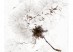 An apparition of memory