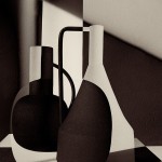 Vos_Inbetweentheshadows 1