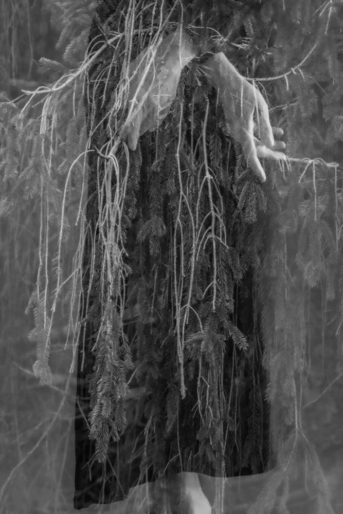 Wiese_Entwine