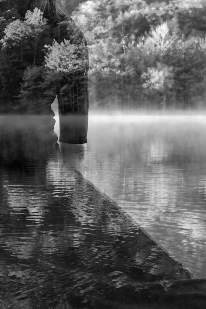 Wiese_Immerse