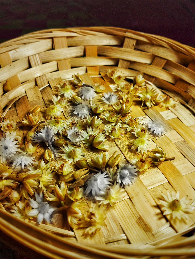 busket flowers by oviul maruf - Oviul Maruf