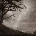 A moody cove landscape with dark trees, mist, and water receding into the distance, © Ann Mitchell.