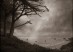 A moody cove landscape with dark trees, mist, and water receding into the distance, © Ann Mitchell.