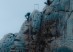 ChevalierFustec_Swift&Swallow_1