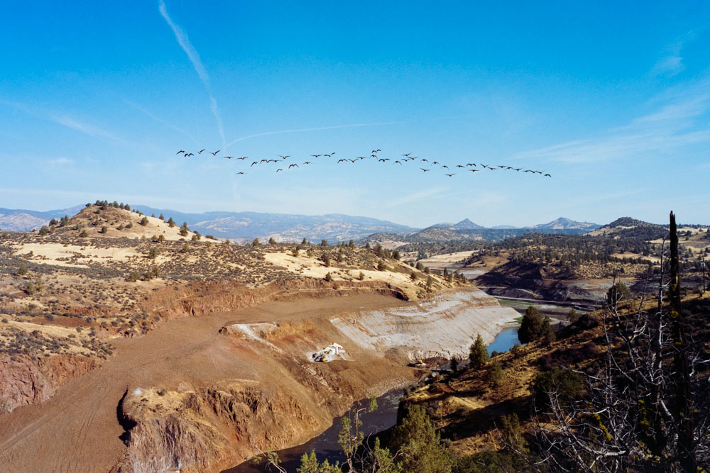 Geese Fly Over the Former Iron Gate Dam on the Klamath River, September 2024. © Jonas Banta. Overshoot with Yogan Muller.