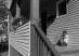 Rosing_Untitled_01