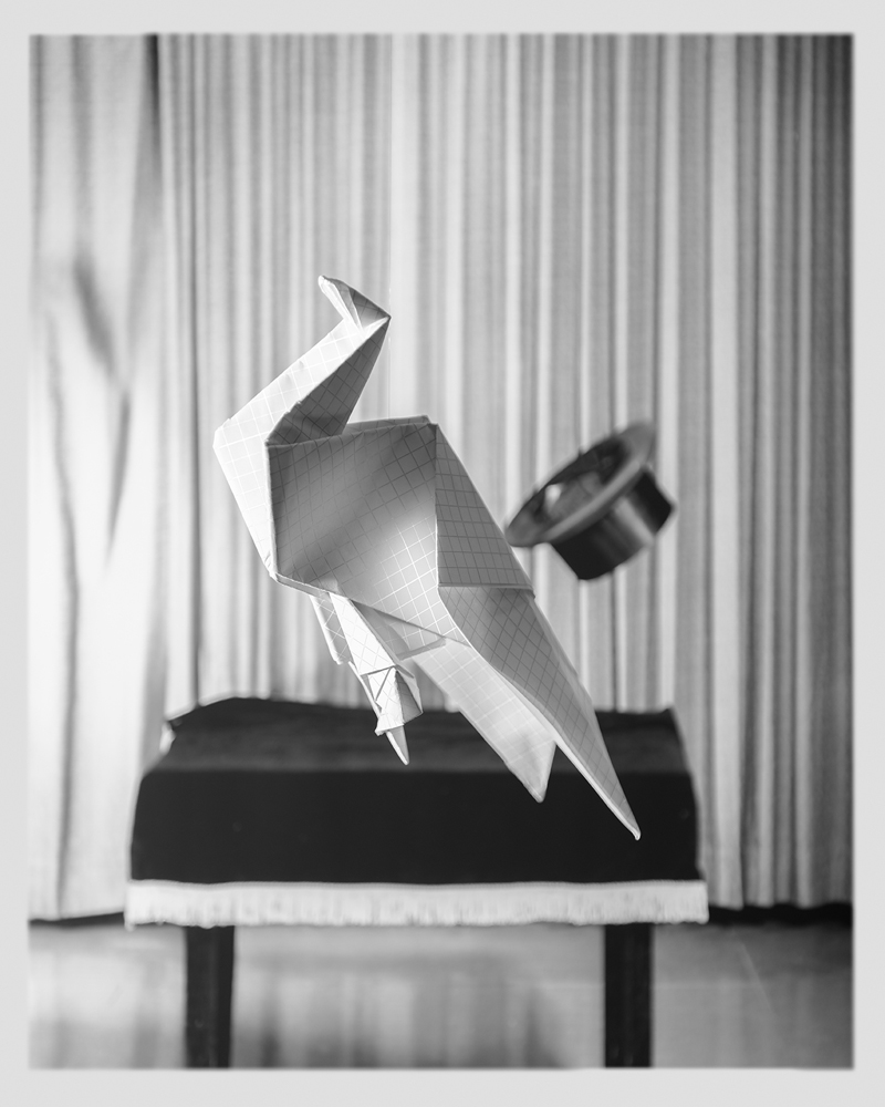 Sosnowska_The_Dove_Trick