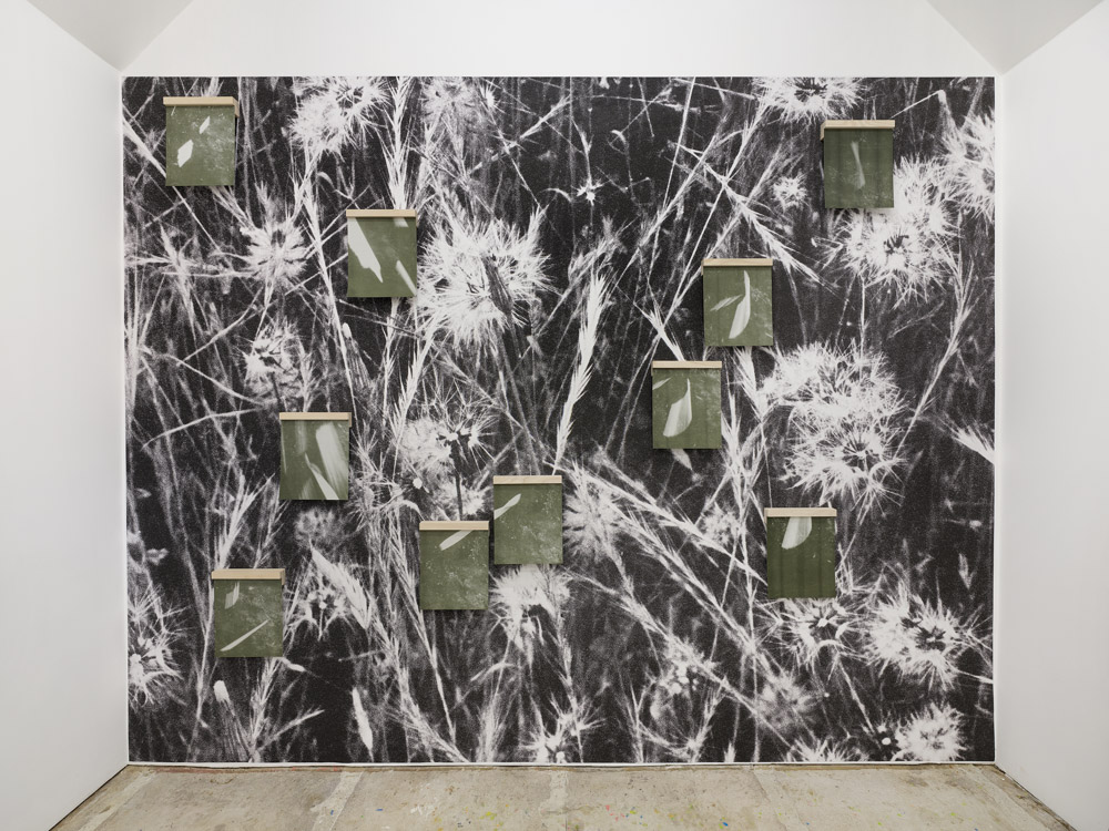 Reimagined Meadow Post-Debris Flow Big Creek, Pre-/Post-Dolan Fire, Big Sur, California. Reproduction of hand-inked photogravure print installed with various risograph film-still prints on cotton paper, Probably Gallery, Los Angeles. © Karolina Karlic. Installation photograph © Heather Rasmussen. Overshoot with Yogan Muller.