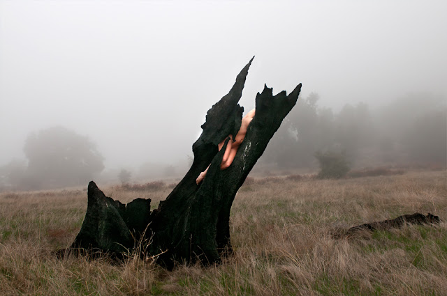 .Medium Festival: Catherin Colaw. Medium Festival: Catherin Colaw