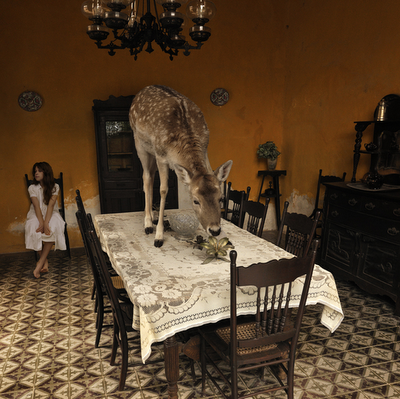 Tom Chambers
