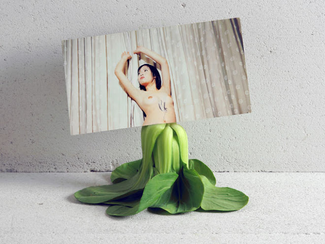 .Heidi Voet: Fruit and Vegetables. Heidi Voet: Fruit and Vegetables