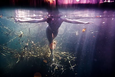 Neil Craver