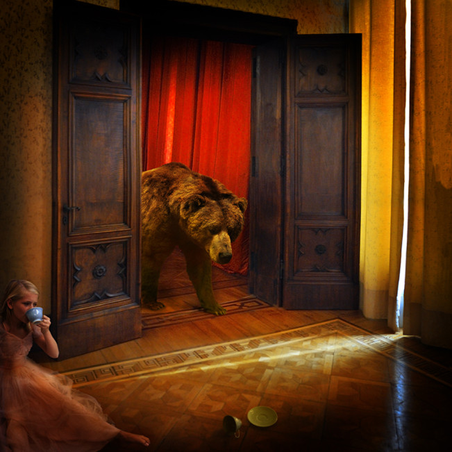 Tom Chambers: Animal Visions