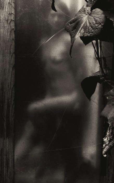 .Linda Morrow: Echoes of Ovid. Linda Morrow: Echoes of Ovid