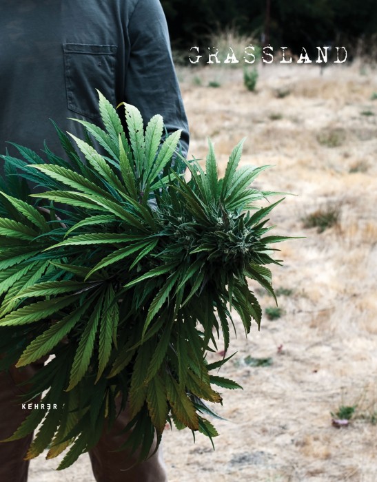 .Interview with H. Lee: Grassland. Interview with H. Lee: Grassland