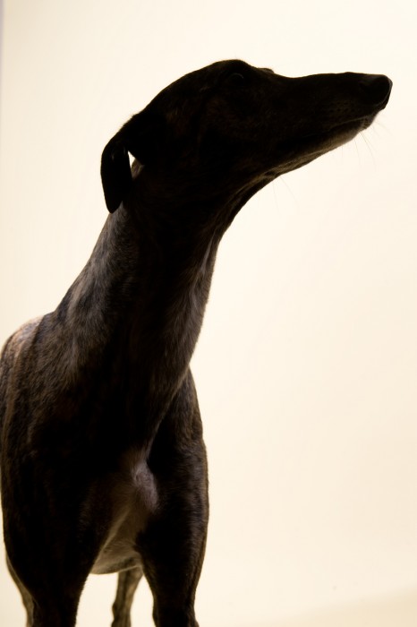 .Content-Aware: Agnieszka Chabros. Content-Aware: Agnieszka Chabros