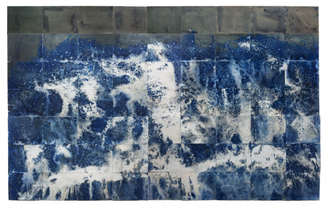 .Meghann Riepenhoff: Littoral Drift and Instar. Meghann Riepenhoff: Littoral Drift and Instar