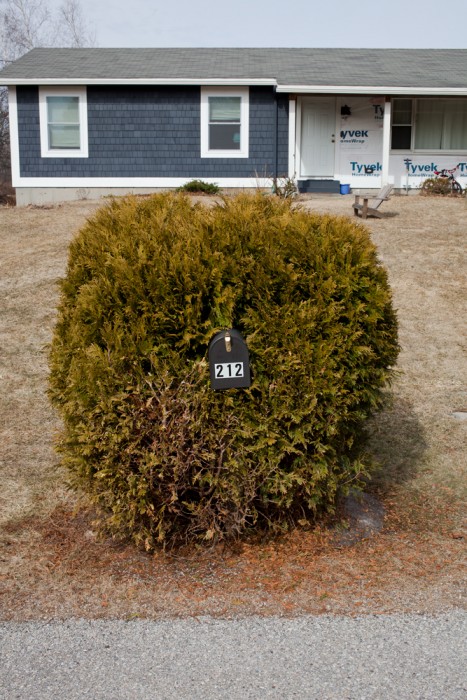 Angus McCullough: States Project: Vermont