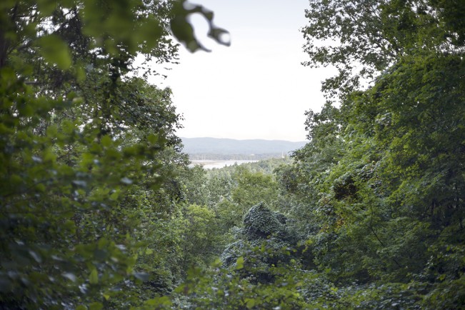 Jen Morris: States Project: Vermont