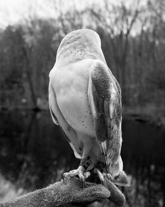 .Content-Aware: Elaine Bezold. Content-Aware: Elaine Bezold