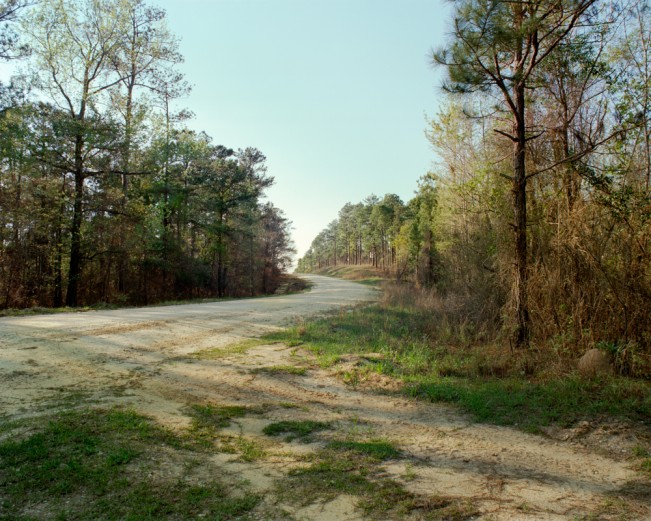 Dakota Sumpter: States Project: Alabama