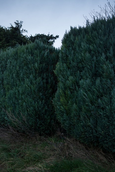 .Content-Aware: Jonas Feige. Content-Aware: Jonas Feige