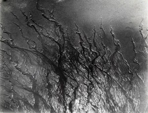 Black Flames in the Sand ©Clarence John Laughlin