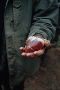 Thesis Project: Phillipa Klaiber