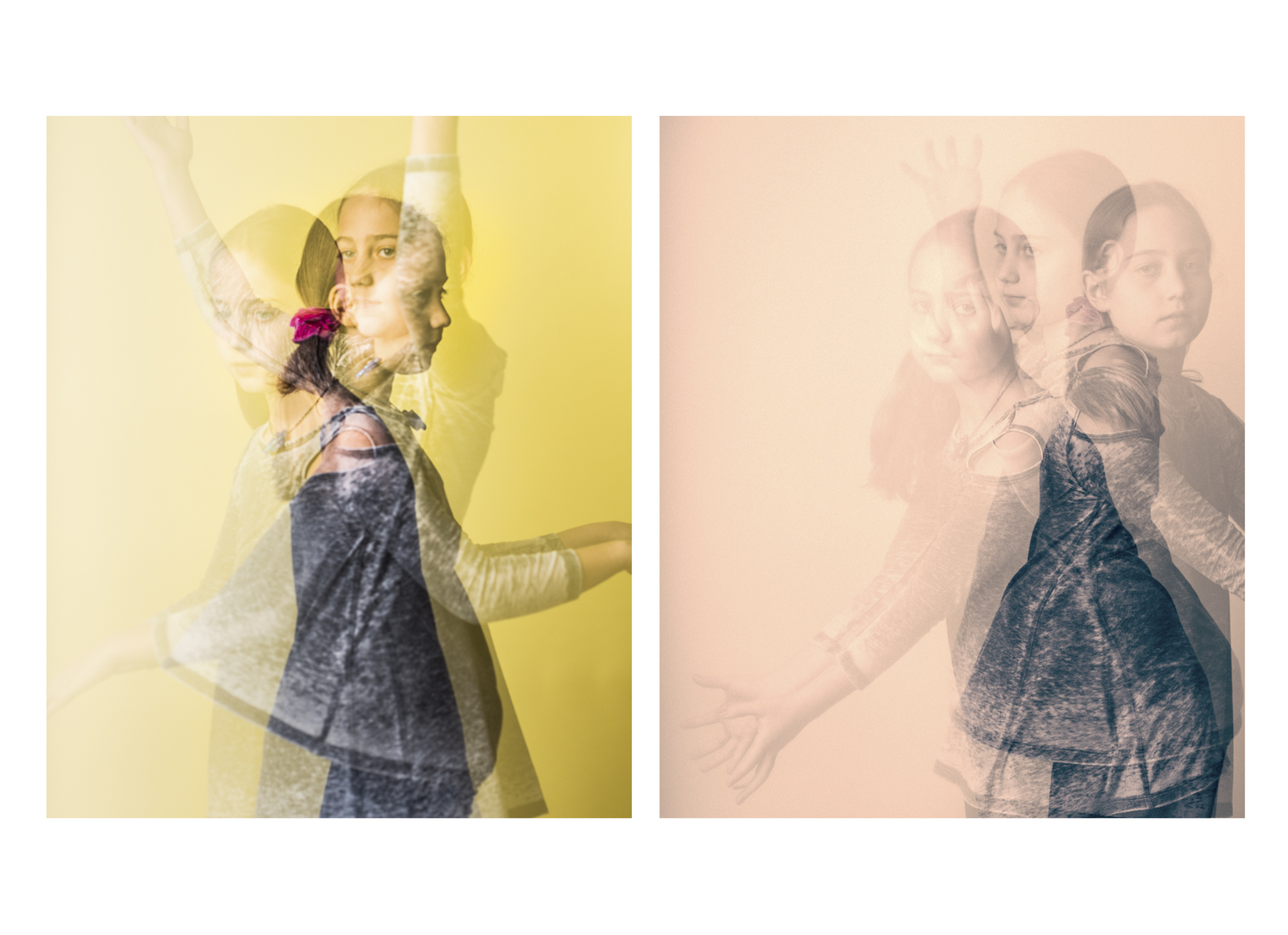 Senses in Animate Project, Diptych