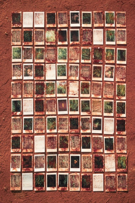 Focus on Ecuadorian Photographers: Isadora Romero