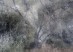 Memory is a Verb: Annie Omens: Transcending the Temporal