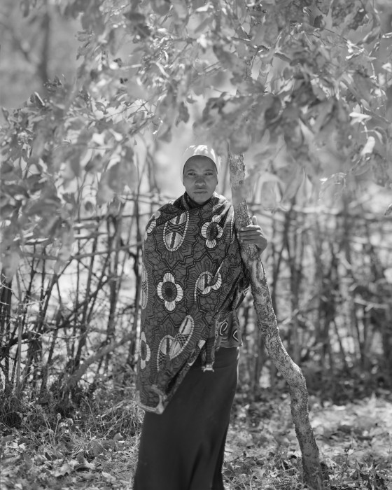 Pradip Malde: From Where Loss Comes