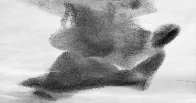 The Hand in Nature: Vital Impacts, Part 1