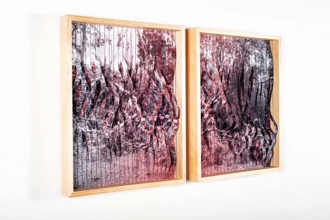 .The Hand in Nature: Josh Hobson, Waveforms & Uncontained. The Hand in Nature: Josh Hobson, Waveforms & Uncontained