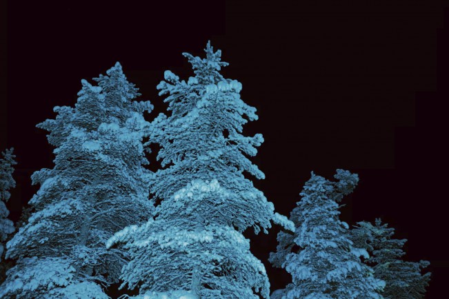 .Interview with Sari Soininen: Transcendent Country of the Mind / Black Cat Kingdom. Interview with Sari Soininen: Transcendent Country of the Mind / Black Cat Kingdom