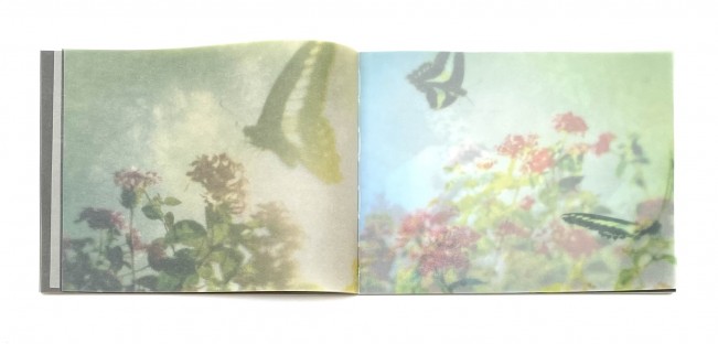 .Miho Kajioka - so it goes, so it goes, so it goes. Miho Kajioka - so it goes, so it goes, so it goes