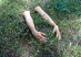 Hands in Grass