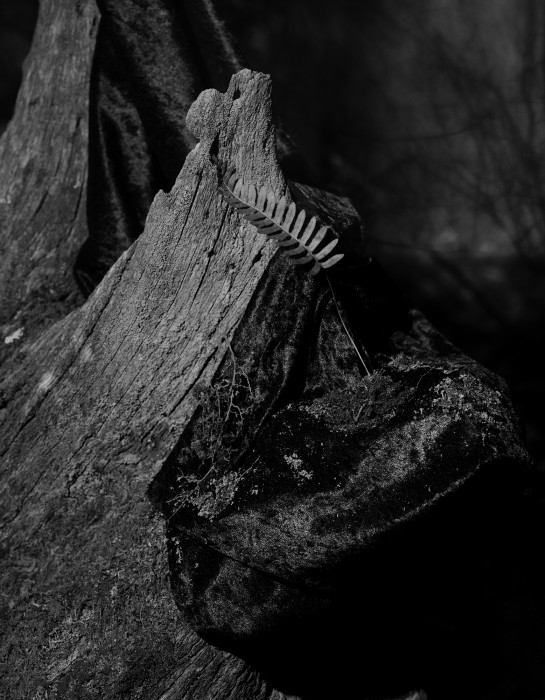 "notes from a body inverted" by Emme Rovins - Exhibition at Gravedigger