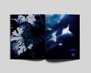 Overshoot, Yogan Muller, Marine Lanier, Le Jardin d'Hannibal