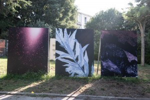 Overshoot, Yogan Muller, Marine Lanier, Le Jardin d'Hannibal