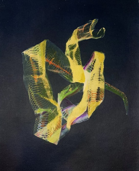 .Cyanotype Weekend: Brett Day Windham. Cyanotype Weekend: Brett Day Windham