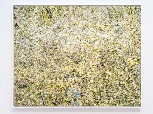 Overshoot 4_Yogan Muller_misha de ridder_generative by nature_install view paris photo 2024