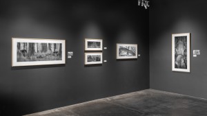 Overshoot #5 by Yogan Muller. Alex Turner's Blind Forest installation view at Marshall Contemporary, CA. July 2025.