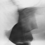 photo by Yang, Jaemoon