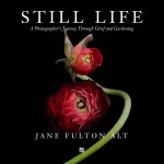 BOOK COVER_Fulton_Alt_Still_Life
