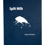 Birnbaum_Book Cover