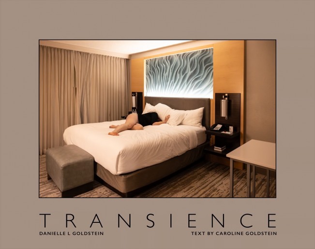 Danielle L Goldstein: Transience — New Book from Schilt
