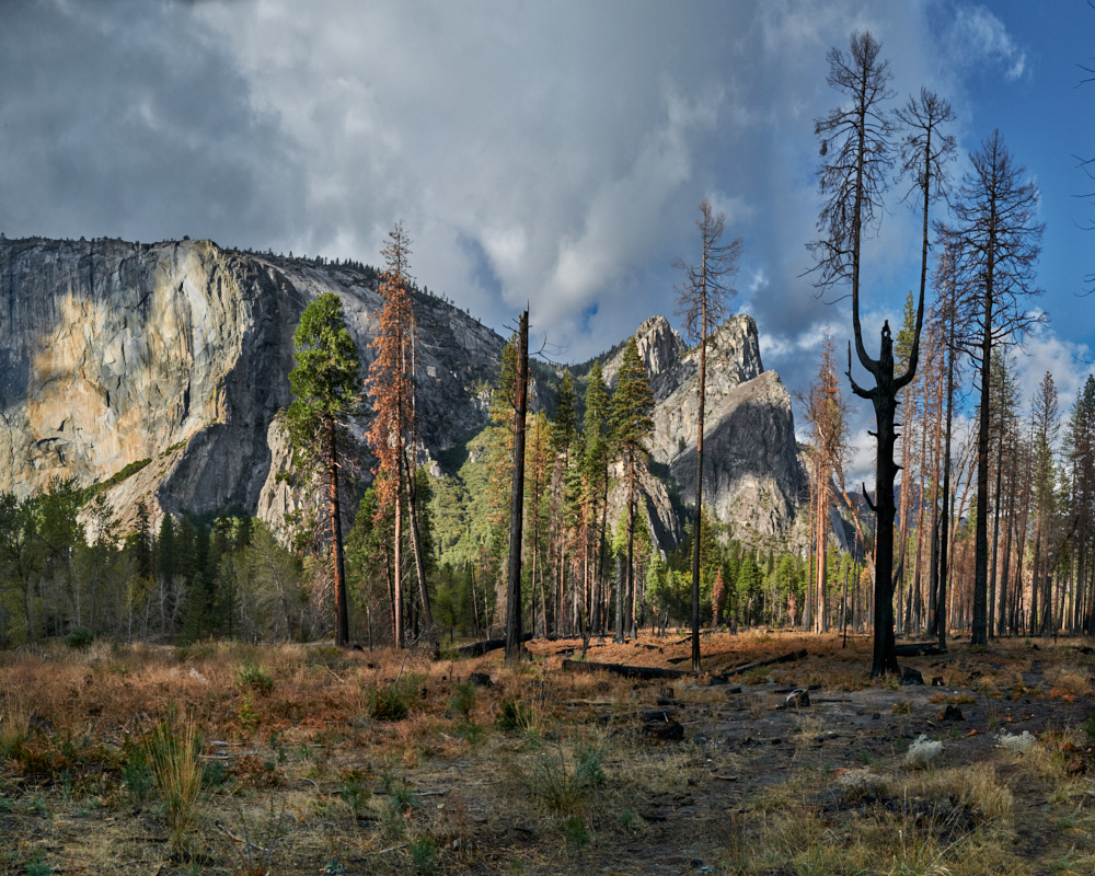 1 Stratton_Three_Brothers_Yosemite_National_Park_Nov_3_2022