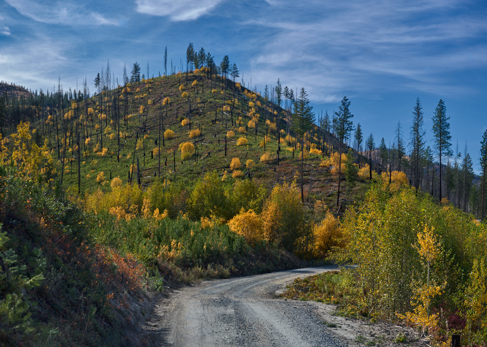 13 Stratton_Recovering_Hillside_Okanogan_NF_October_13_2024